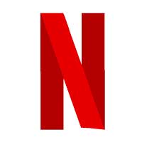 Netflix App Installation