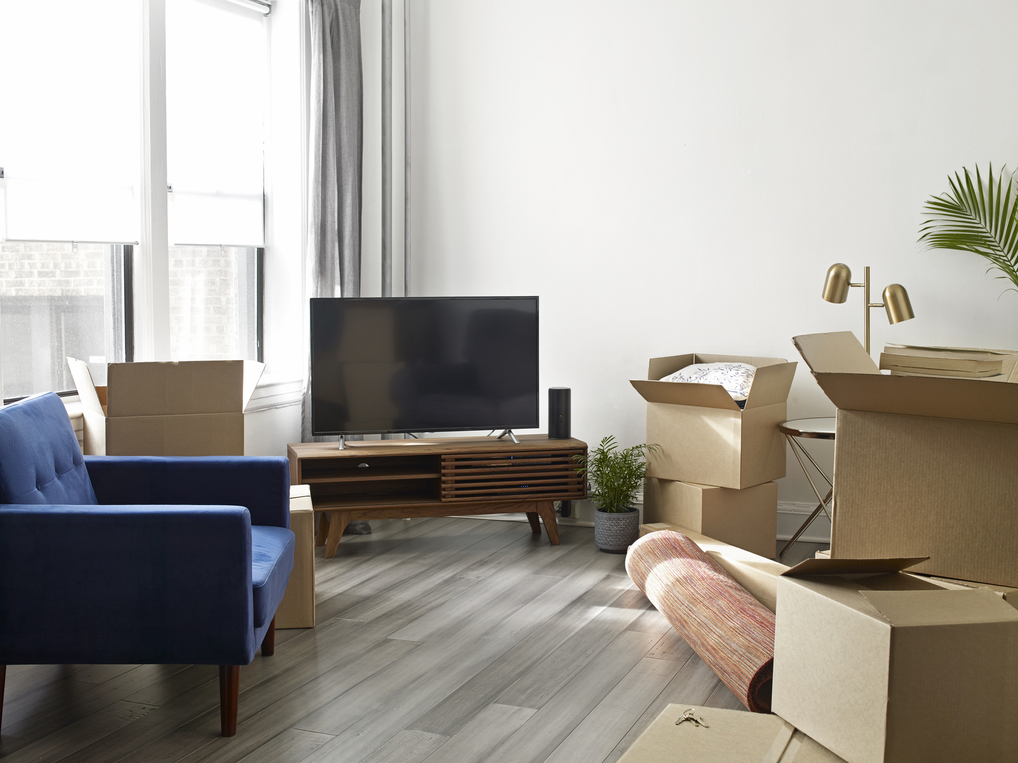 Specialty Moving Services Audio Video Charlotte TV / Audio / Video